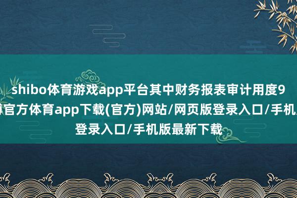 shibo体育游戏app平台其中财务报表审计用度90万元-世博官方体育app下载(官方)网站/网页版登录入口/手机版最新下载