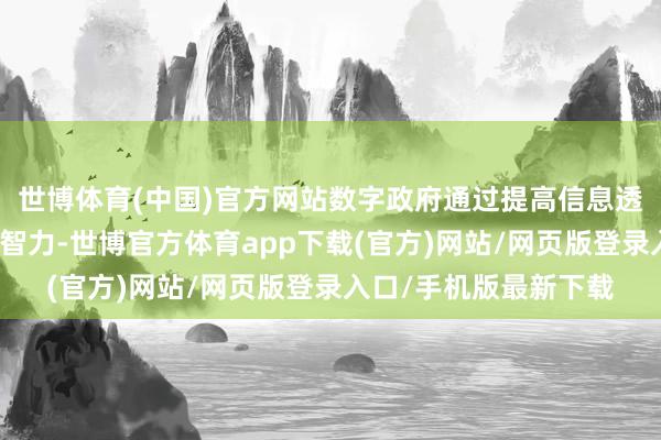 世博体育(中国)官方网站数字政府通过提高信息透明度和民众服务供给智力-世博官方体育app下载(官方)网站/网页版登录入口/手机版最新下载